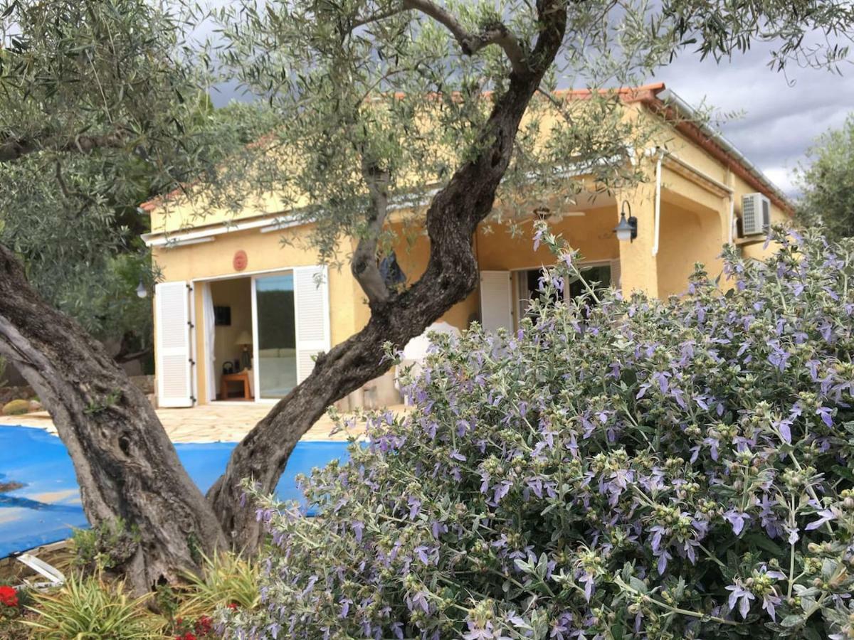 La Inopia Villa L'Ampolla Buitenkant foto